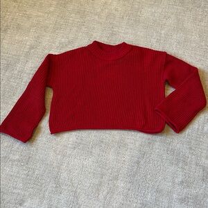 Wild Fable Red Ribbed Sweater